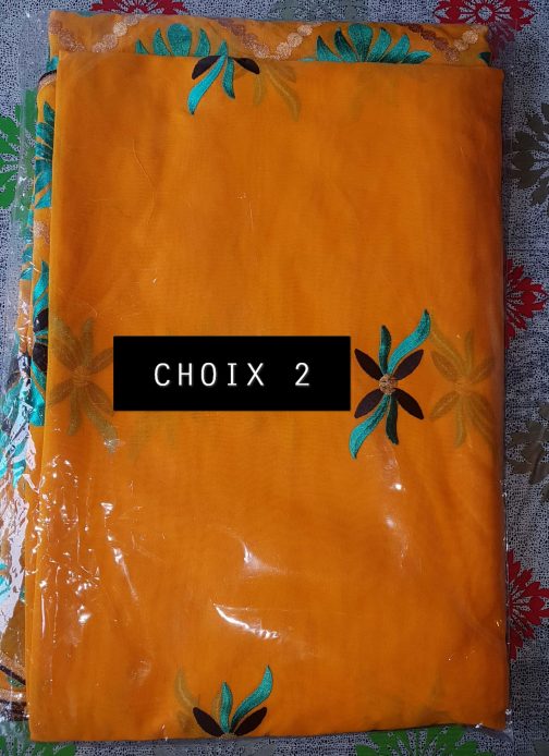 Salouva avec chale broderie – Image 4